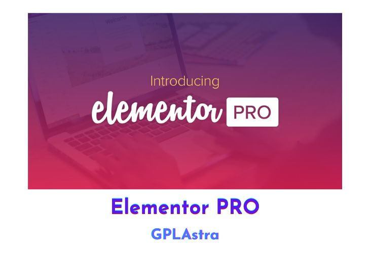 Elementor Pro v3.25.4 + 3.25.9 Plugin-Khat Vong Song - Desire Of Life